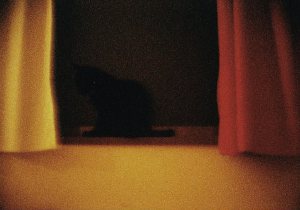 120229_cd_12_k_kontext_02